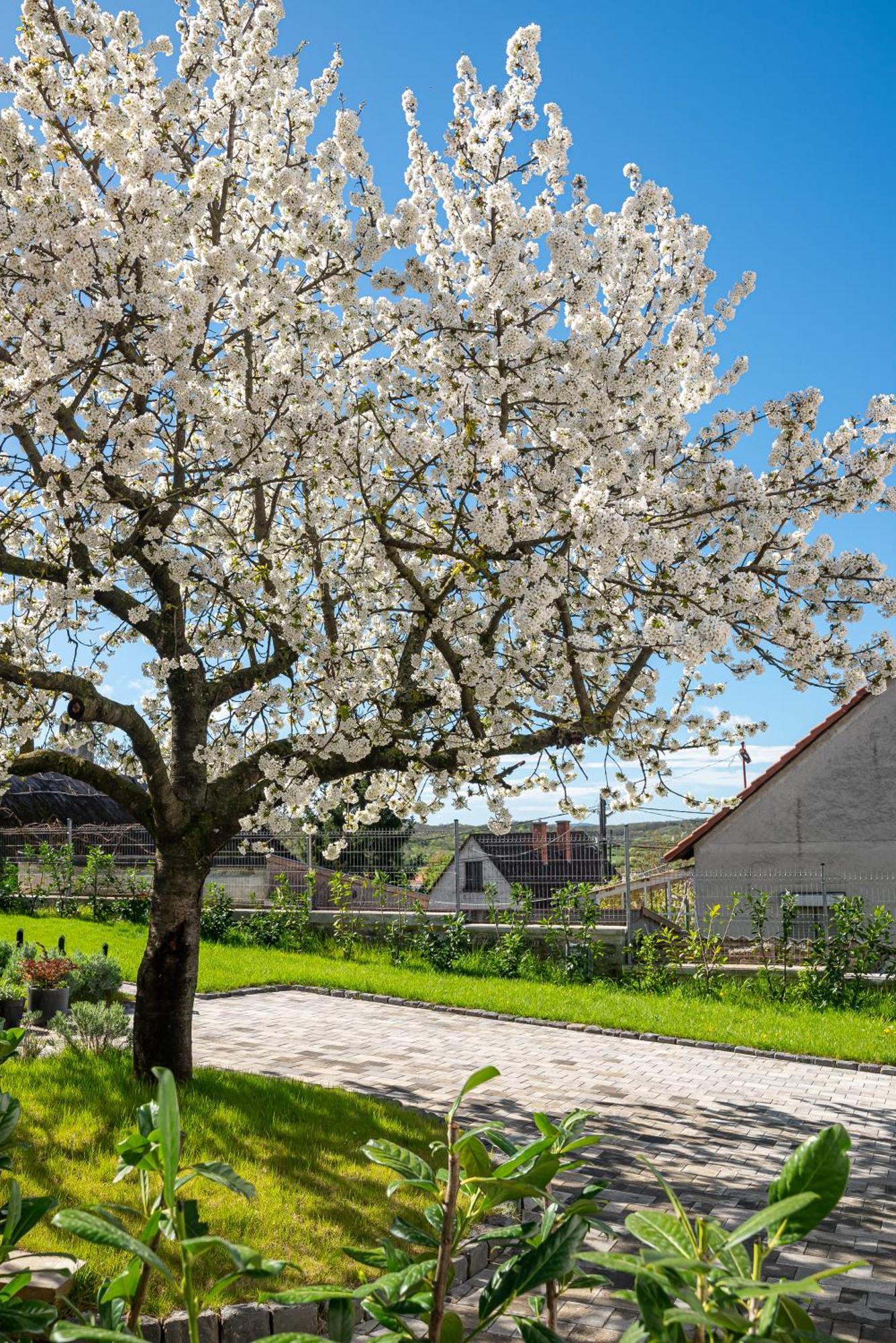 Apartmán Papoula Vendeghaz Tihany Exteriér fotografie